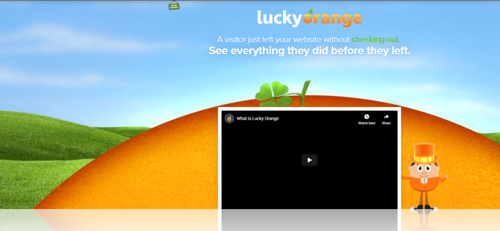 LuckyOrange's landing page